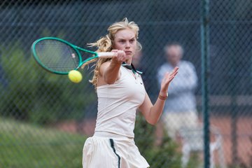 Bild 336 - TVSH Cup